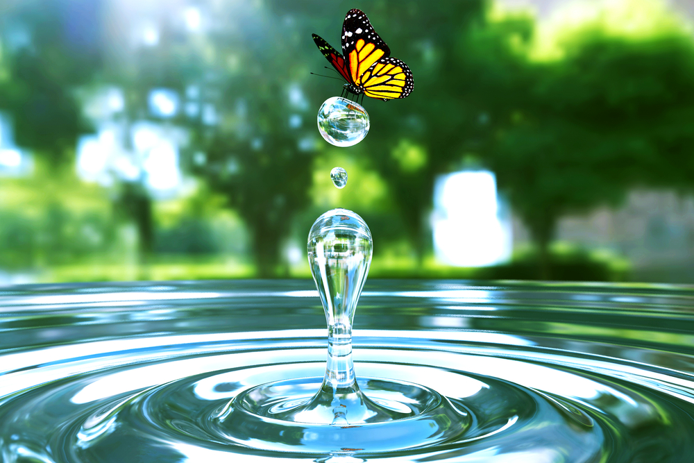 Special moment - Butterfly on a waterdrop