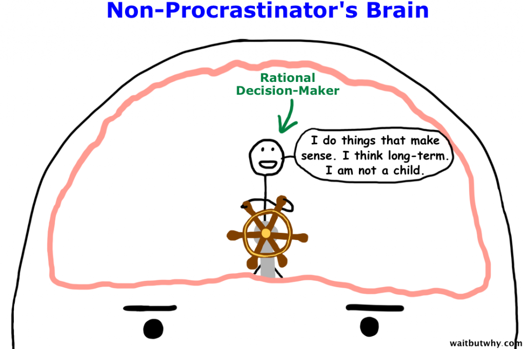 Non-procrastinator's brain