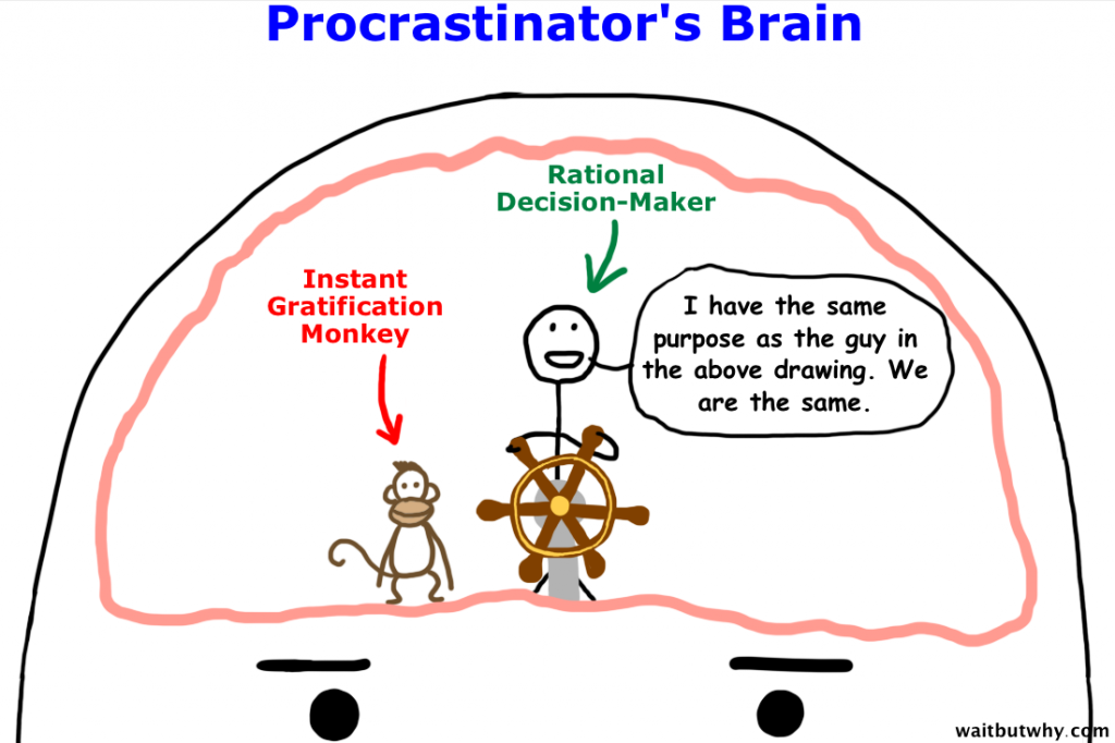 Procrastinator's brain